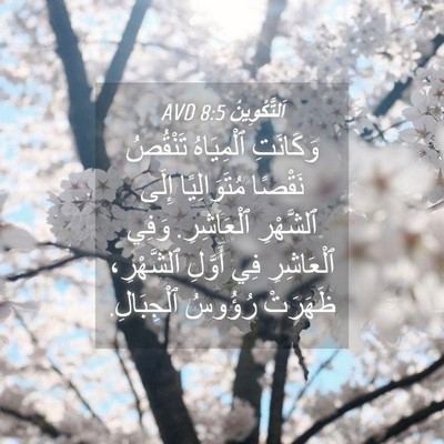 Picture 04 - اَلتَّكْوِينُ 8:5 AVD - وَكَانَتِ ٱلْمِيَاهُ - Bible Verse Picture