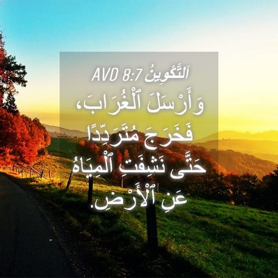 Picture 04 - اَلتَّكْوِينُ 8:7 AVD - وَأَرْسَلَ ٱلْغُرَابَ، - Bible Verse Picture