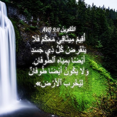 Picture 04 - اَلتَّكْوِينُ 9:11 AVD - أُقِيمُ مِيثَاقِي - Bible Verse Picture