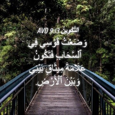 Picture 04 - اَلتَّكْوِينُ 9:13 AVD - وَضَعْتُ قَوْسِي فِي - Bible Verse Picture