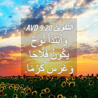 Picture 04 - اَلتَّكْوِينُ 9:20 AVD - وَٱبْتَدَأَ نُوحٌ يَكُونُ - Bible Verse Picture