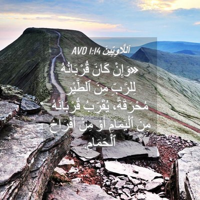 Picture 04 - اَللَّاوِيِّينَ 1:14 AVD - «وَإِنْ كَانَ قُرْبَانُهُ - Bible Verse Picture
