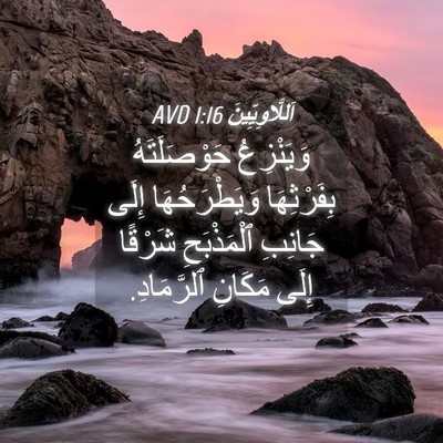 Picture 04 - اَللَّاوِيِّينَ 1:16 AVD - وَيَنْزِعُ حَوْصَلَتَهُ - Bible Verse Picture