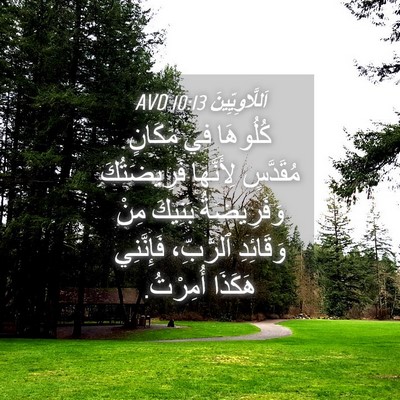 Picture 04 - اَللَّاوِيِّينَ 10:13 AVD - كُلُوهَا فِي مَكَانٍ - Bible Verse Picture