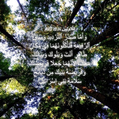 Picture 04 - اَللَّاوِيِّينَ 10:14 AVD - وَأَمَّا صَدْرُ - Bible Verse Picture