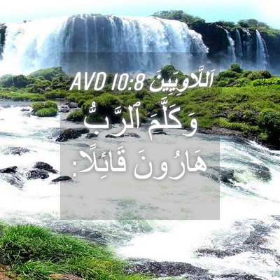 Picture 04 - اَللَّاوِيِّينَ 10:8 AVD - وَكَلَّمَ ٱلرَّبُّ - Bible Verse Picture