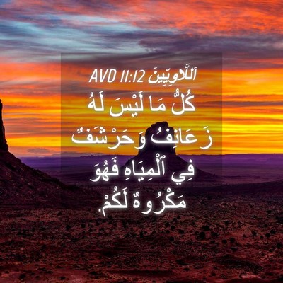 Picture 04 - اَللَّاوِيِّينَ 11:12 AVD - كُلُّ مَا لَيْسَ لَهُ - Bible Verse Picture