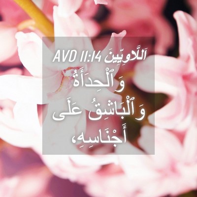 Picture 04 - اَللَّاوِيِّينَ 11:14 AVD - وَٱلْحِدَأَةُ - Bible Verse Picture