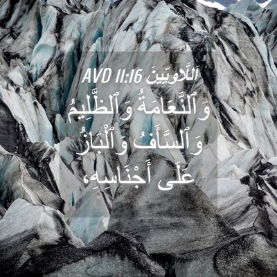 Picture 04 - اَللَّاوِيِّينَ 11:16 AVD - وَٱلنَّعَامَةُ - Bible Verse Picture