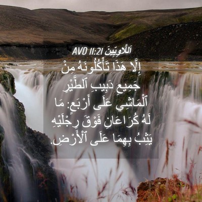 Picture 04 - اَللَّاوِيِّينَ 11:21 AVD - إِلَّا هَذَا - Bible Verse Picture