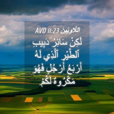 Picture 04 - اَللَّاوِيِّينَ 11:23 AVD - لَكِنْ سَائِرُ دَبِيبِ - Bible Verse Picture