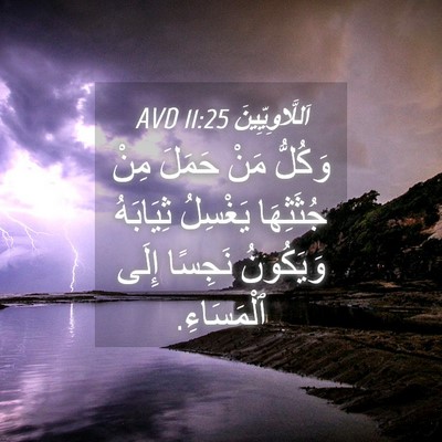 Picture 04 - اَللَّاوِيِّينَ 11:25 AVD - وَكُلُّ مَنْ حَمَلَ مِنْ - Bible Verse Picture