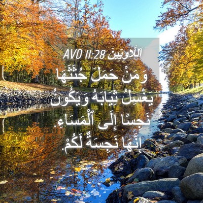 Picture 04 - اَللَّاوِيِّينَ 11:28 AVD - وَمَنْ حَمَلَ جُثَثَهَا - Bible Verse Picture