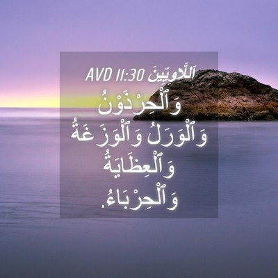 Picture 04 - اَللَّاوِيِّينَ 11:30 AVD - وَٱلْحِرْذَوْنُ - Bible Verse Picture