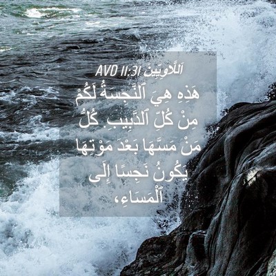 Picture 04 - اَللَّاوِيِّينَ 11:31 AVD - هَذِهِ هِيَ ٱلنَّجِسَةُ - Bible Verse Picture