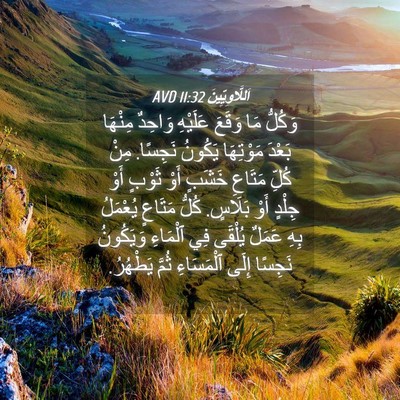 Picture 04 - اَللَّاوِيِّينَ 11:32 AVD - وَكُلُّ مَا وَقَعَ - Bible Verse Picture