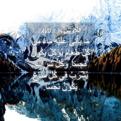 Picture 04 - اَللَّاوِيِّينَ 11:34 AVD - مَا يَأْتِي عَلَيْهِ مَاءٌ - Bible Verse Picture