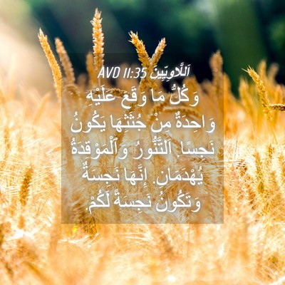 Picture 04 - اَللَّاوِيِّينَ 11:35 AVD - وَكُلُّ مَا وَقَعَ - Bible Verse Picture