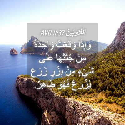 Picture 04 - اَللَّاوِيِّينَ 11:37 AVD - وَإِذَا وَقَعَتْ - Bible Verse Picture
