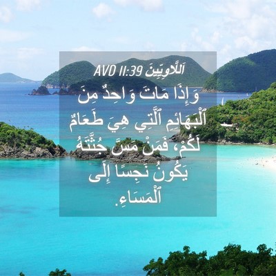Picture 04 - اَللَّاوِيِّينَ 11:39 AVD - وَإِذَا مَاتَ وَاحِدٌ مِنَ - Bible Verse Picture