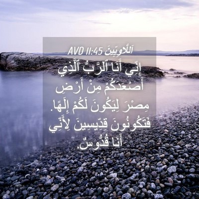 Picture 04 - اَللَّاوِيِّينَ 11:45 AVD - إِنِّي أَنَا ٱلرَّبُّ - Bible Verse Picture