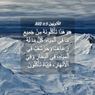 Picture 04 - اَللَّاوِيِّينَ 11:9 AVD - «وَهَذَا تَأْكُلُونَهُ - Bible Verse Picture