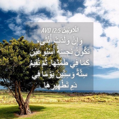 Picture 04 - اَللَّاوِيِّينَ 12:5 AVD - وَإِنْ وَلَدَتْ أُنْثَى، - Bible Verse Picture