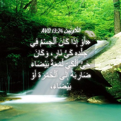 Picture 04 - اَللَّاوِيِّينَ 13:24 AVD - «أَوْ إِذَا كَانَ - Bible Verse Picture