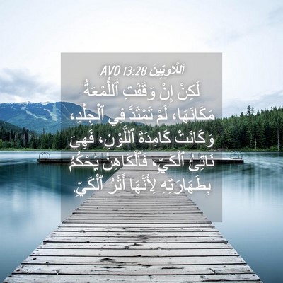 Picture 04 - اَللَّاوِيِّينَ 13:28 AVD - لَكِنْ إِنْ وَقَفَتِ - Bible Verse Picture