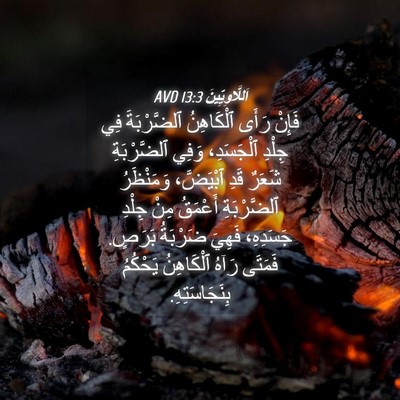 Picture 04 - اَللَّاوِيِّينَ 13:3 AVD - فَإِنْ رَأَى ٱلْكَاهِنُ - Bible Verse Picture