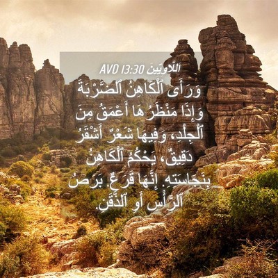 Picture 04 - اَللَّاوِيِّينَ 13:30 AVD - وَرَأَى ٱلْكَاهِنُ - Bible Verse Picture