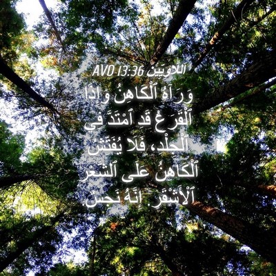 Picture 04 - اَللَّاوِيِّينَ 13:36 AVD - وَرَآهُ ٱلْكَاهِنُ - Bible Verse Picture