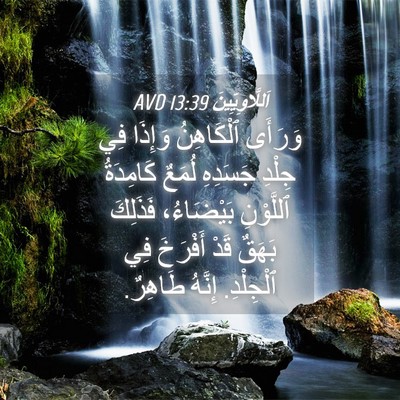 Picture 04 - اَللَّاوِيِّينَ 13:39 AVD - وَرَأَى ٱلْكَاهِنُ - Bible Verse Picture
