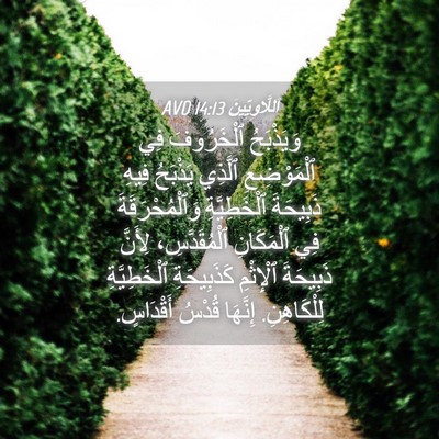 Picture 04 - اَللَّاوِيِّينَ 14:13 AVD - وَيَذْبَحُ ٱلْخَرُوفَ فِي - Bible Verse Picture