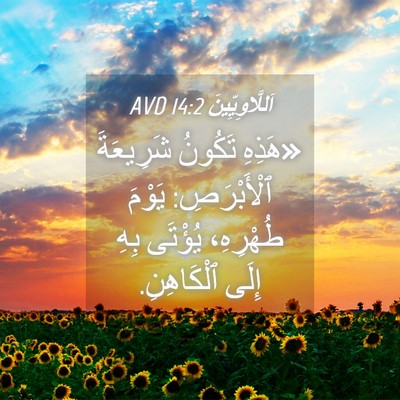 Picture 04 - اَللَّاوِيِّينَ 14:2 AVD - «هَذِهِ تَكُونُ شَرِيعَةَ - Bible Verse Picture