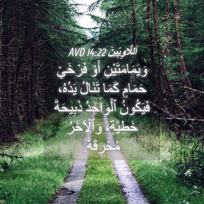Picture 04 - اَللَّاوِيِّينَ 14:22 AVD - وَيَمَامَتَيْنِ أَوْ - Bible Verse Picture
