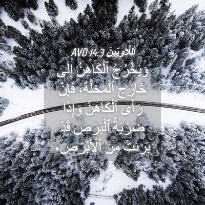 Picture 04 - اَللَّاوِيِّينَ 14:3 AVD - وَيَخْرُجُ ٱلْكَاهِنُ - Bible Verse Picture