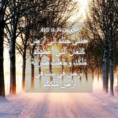 Picture 04 - اَللَّاوِيِّينَ 14:34 AVD - «مَتَى جِئْتُمْ إِلَى - Bible Verse Picture