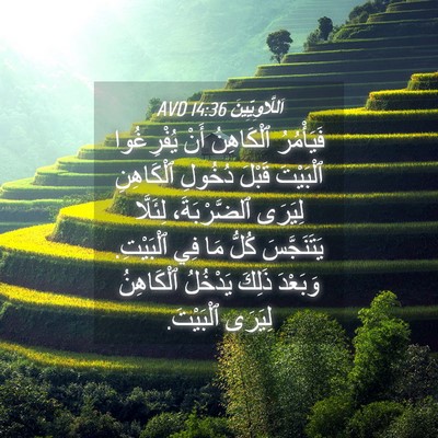 Picture 04 - اَللَّاوِيِّينَ 14:36 AVD - فَيَأْمُرُ ٱلْكَاهِنُ - Bible Verse Picture