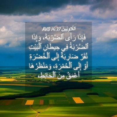 Picture 04 - اَللَّاوِيِّينَ 14:37 AVD - فَإِذَا رَأَى - Bible Verse Picture