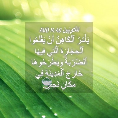 Picture 04 - اَللَّاوِيِّينَ 14:40 AVD - يَأْمُرُ ٱلْكَاهِنُ أَنْ - Bible Verse Picture