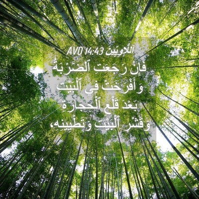 Picture 04 - اَللَّاوِيِّينَ 14:43 AVD - فَإِنْ رَجَعَتِ - Bible Verse Picture