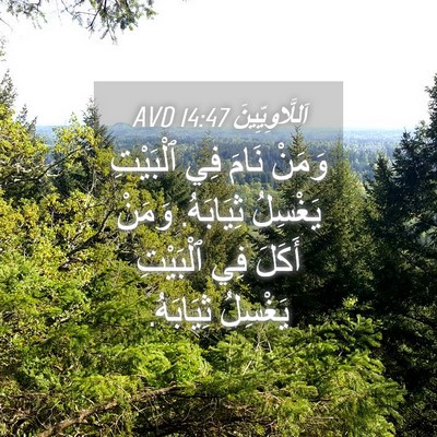Picture 04 - اَللَّاوِيِّينَ 14:47 AVD - وَمَنْ نَامَ فِي ٱلْبَيْتِ - Bible Verse Picture