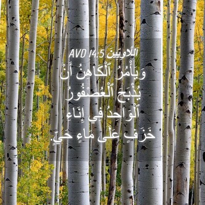 Picture 04 - اَللَّاوِيِّينَ 14:5 AVD - وَيَأْمُرُ ٱلْكَاهِنُ - Bible Verse Picture