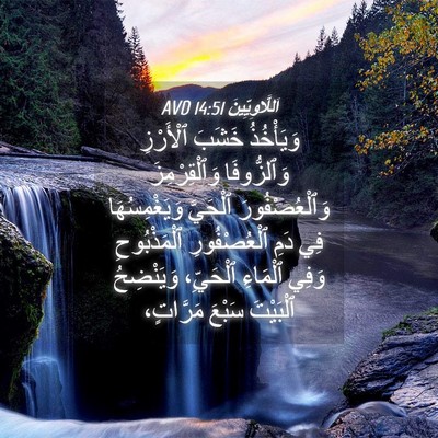 Picture 04 - اَللَّاوِيِّينَ 14:51 AVD - وَيَأْخُذُ خَشَبَ - Bible Verse Picture
