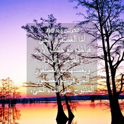 Picture 04 - اَللَّاوِيِّينَ 14:6 AVD - أَمَّا ٱلْعُصْفُورُ - Bible Verse Picture