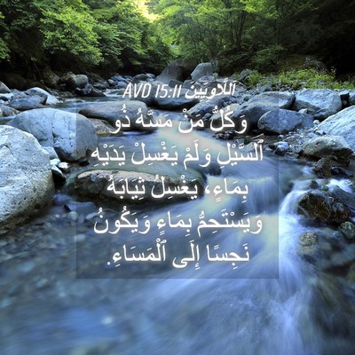 Picture 04 - اَللَّاوِيِّينَ 15:11 AVD - وَكُلُّ مَنْ مَسَّهُ ذُو - Bible Verse Picture