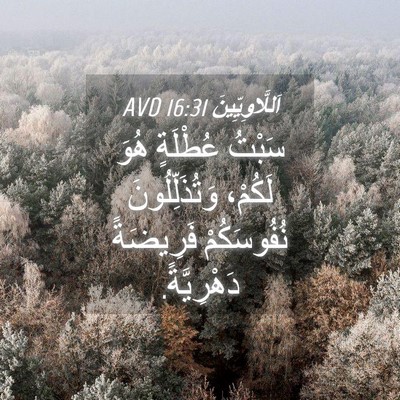Picture 04 - اَللَّاوِيِّينَ 16:31 AVD - سَبْتُ عُطْلَةٍ هُوَ - Bible Verse Picture