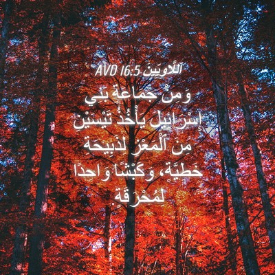 Picture 04 - اَللَّاوِيِّينَ 16:5 AVD - وَمِنْ جَمَاعَةِ بَنِي - Bible Verse Picture