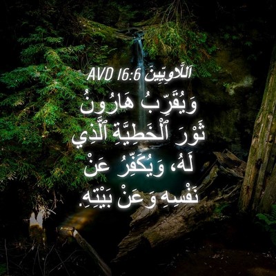 Picture 04 - اَللَّاوِيِّينَ 16:6 AVD - وَيُقَرِّبُ هَارُونُ - Bible Verse Picture